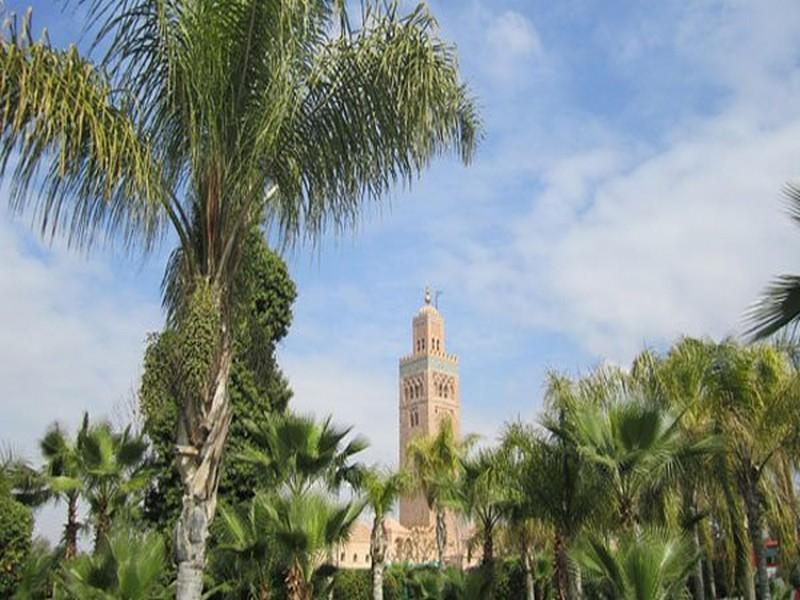 COP22: 78 MDH pour des projets environnementaux à Marrakech