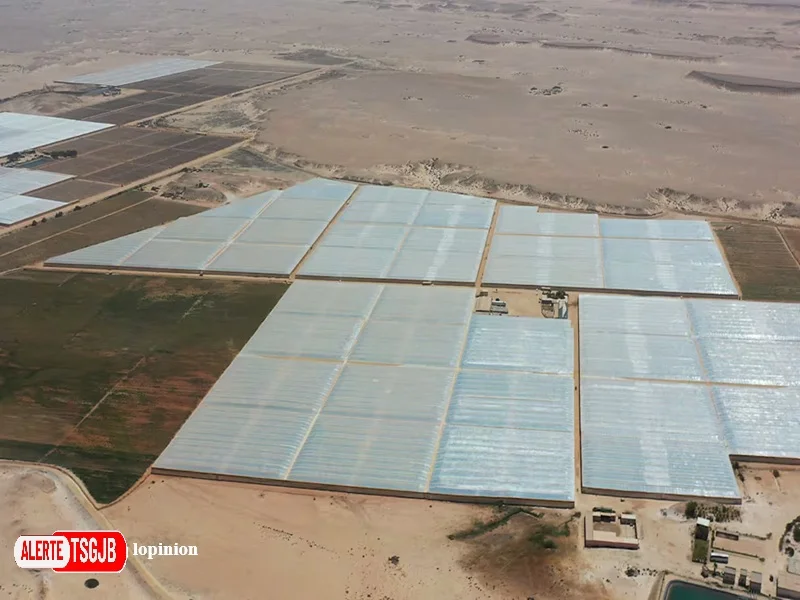 ALERTE TSGJB Dakhla : investissements americains dans l’agriculture durable et les energies renouvelables