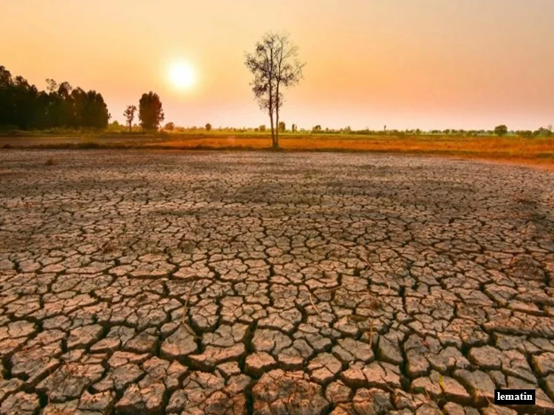 El Niño 2026 : un phenomene climatique majeur menace secheresses, inondations et records de chaleur