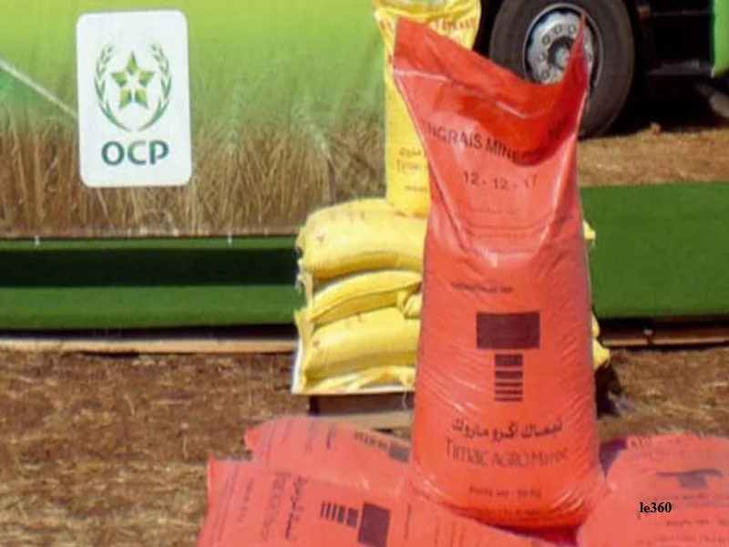 Marche des engrais : le Maroc, acteur cle des phosphates
