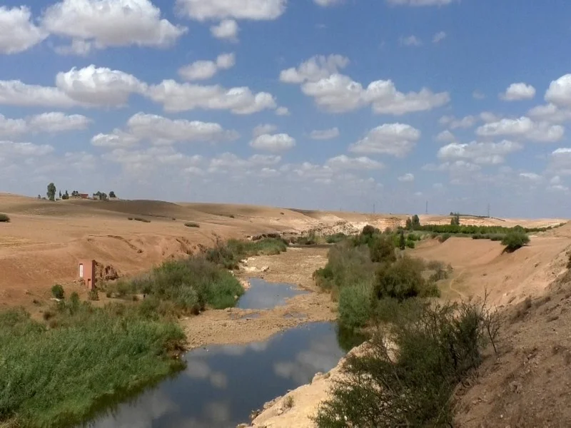Gestion de l'Eau et Agriculture : Un Bilan Chaotique au Maroc