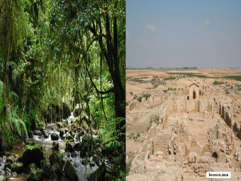 UNESCO : trois sites africains retirés de la Liste en péril