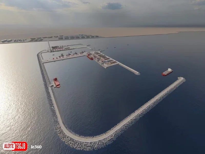 ALERTE TSGJB Dakhla-Oued Eddahab : 616 nouvelles entreprises crees en 2026, portees par le commerce et les grands projets