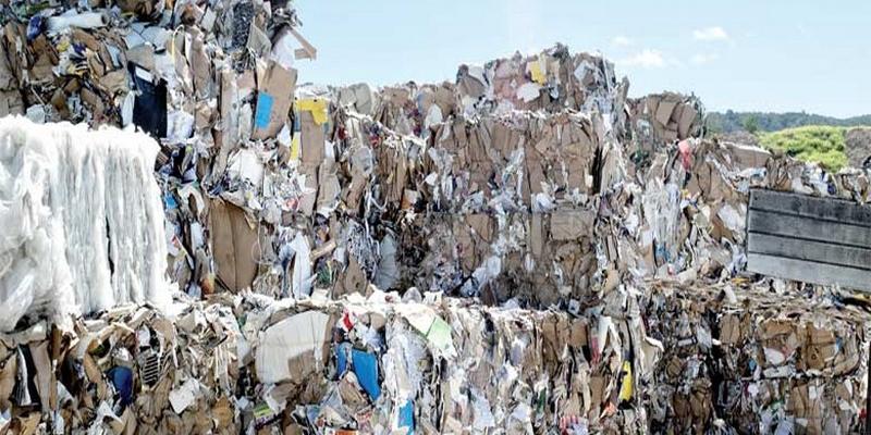 Protection de l'environnement L'interdiction des sacs plastiques s'internationalise