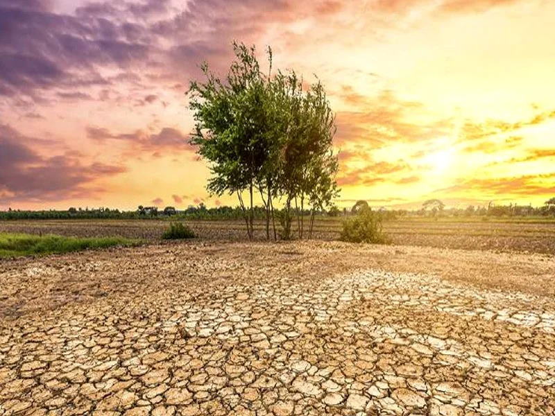 Stress tests climatiques : le Maroc prépare son secteur financier face aux risques du changement climatique