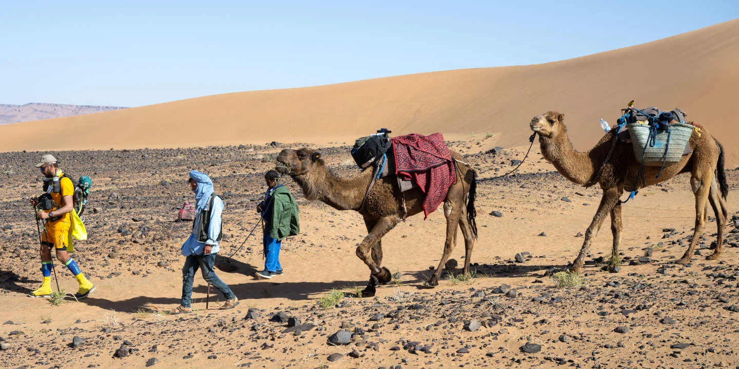 Le Sahara maghrébin, du rêve à la désillusion