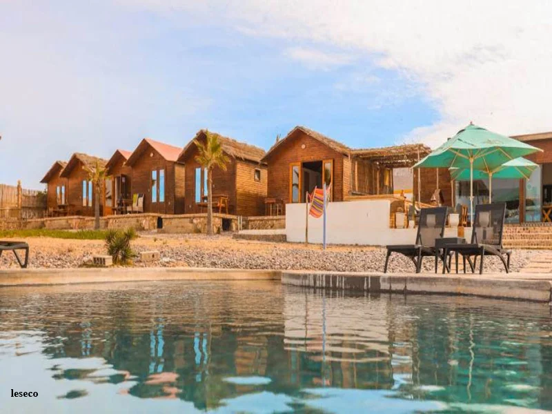 Tourisme au Maroc : 20 millions de visiteurs et leadership africain en 2025