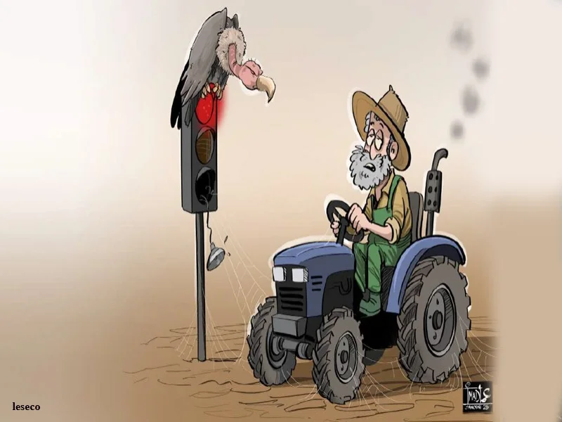 Campagne agricole 2025-2026 : lancement tardif et défis climatiques au Maroc