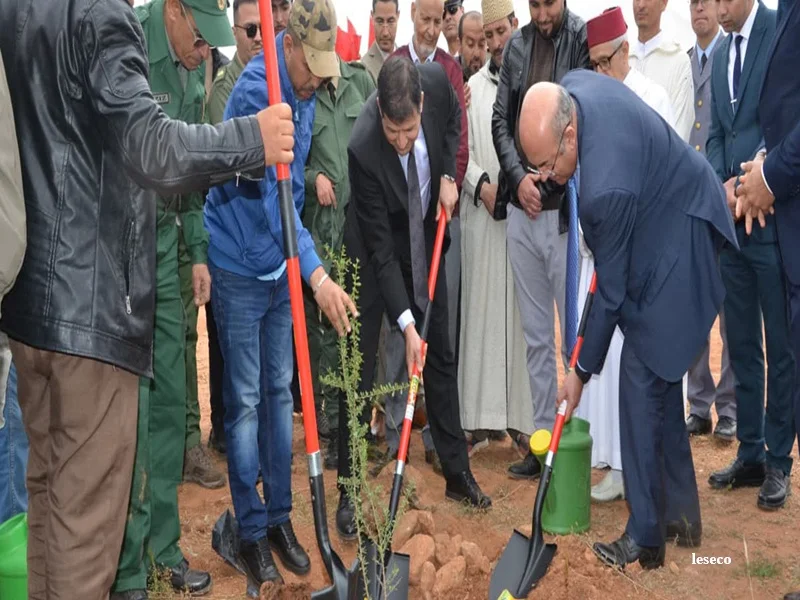 Waterbox au Maroc : innovation ANEF pour reboisement durable et lutte contre la desertification