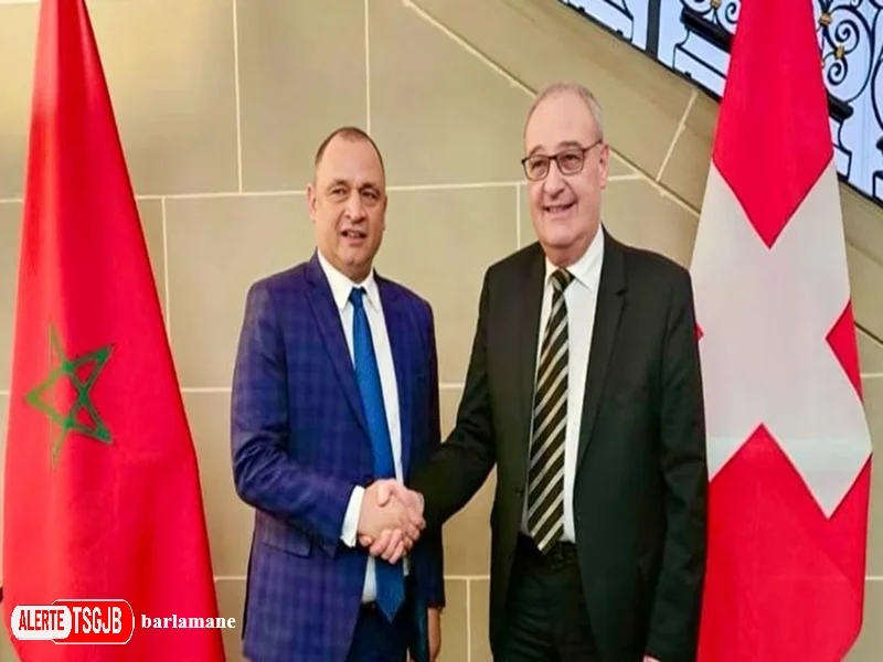 ALERTE TSGJB Hydrogene vert : la Suisse privilegie le Maroc pour sa cooperation technique