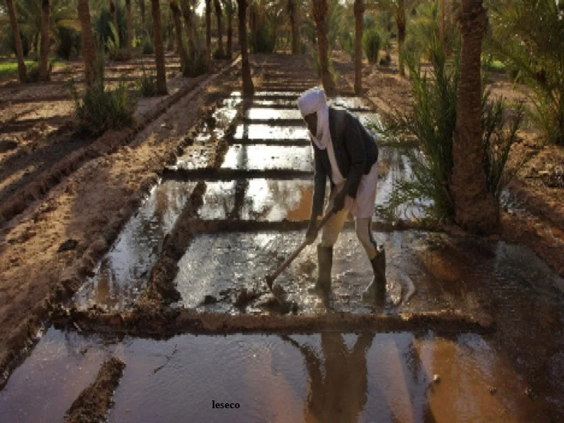 Province de Tata : 16 MDH pour la réhabilitation des seguias et la préservation de l’irrigation 
