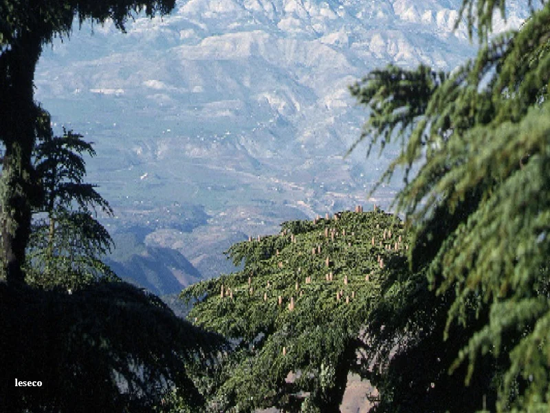 Tourisme rural au Maroc : Fes-Meknes lance 11 projets d’investissement pour valoriser son patrimoine naturel