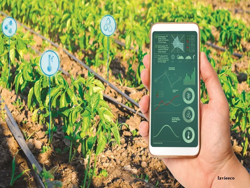 Agriculture numérique au Maroc : l’ONCA et l’UM6P mobilisés face au stress hydrique et au climat