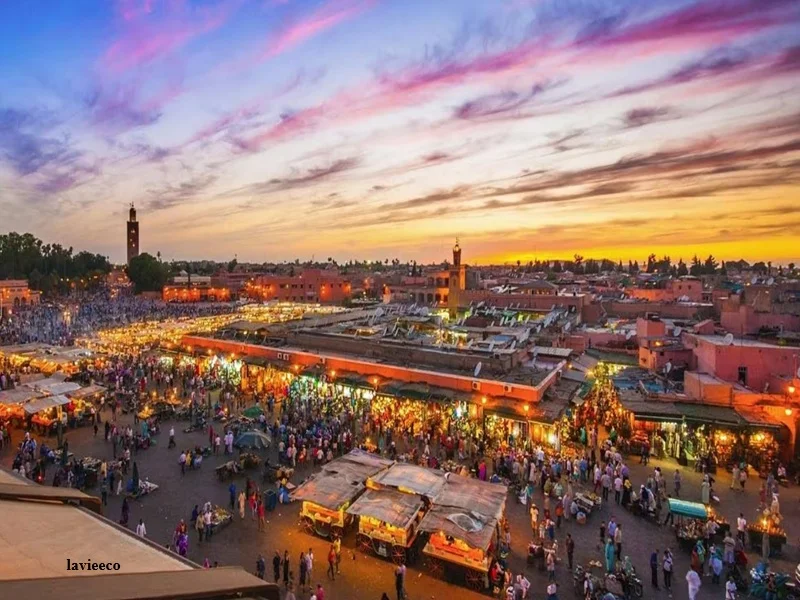 Tourisme durable : innovation high-tech et low-tech à Marrakech