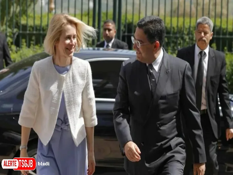 ALERTE TSGJB UE-Maroc : un dialogue renforce sur la securite, le terrorisme et le Sahel 