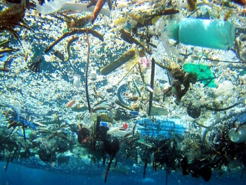 Le Maroc face à une crise environnementale : la pollution plastique s'aggrave alors que le pays autorise l'importation de déchets