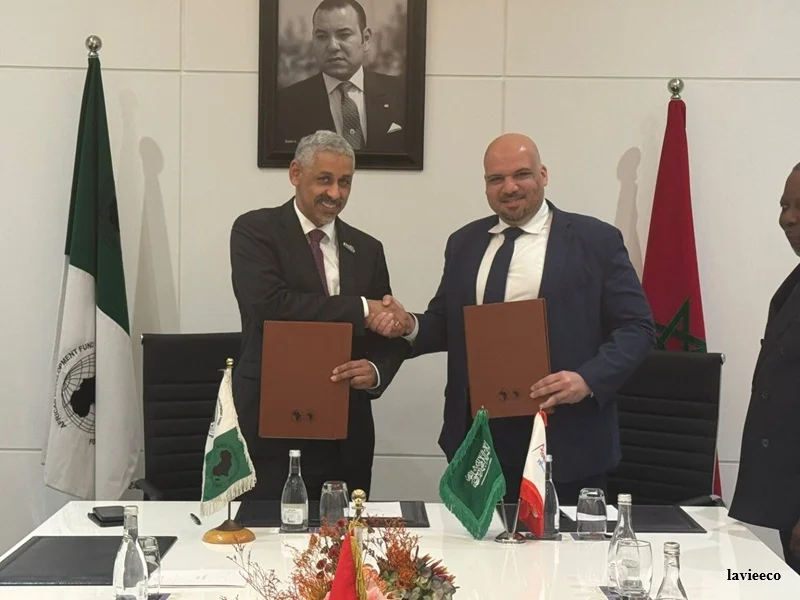 Afrique : ACWA Power et la BAD mobilisent 5 milliards