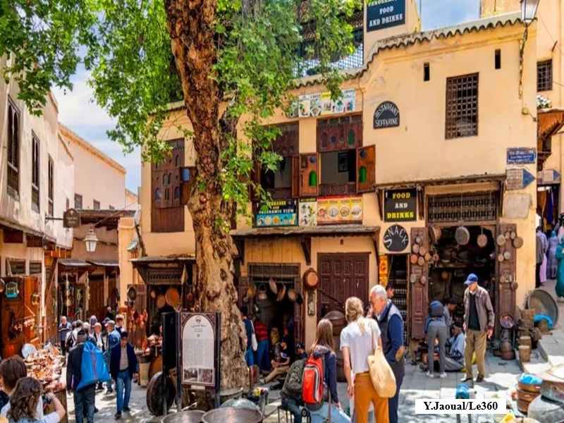 Fès-Meknès : tourisme, culture et écotourisme en essor