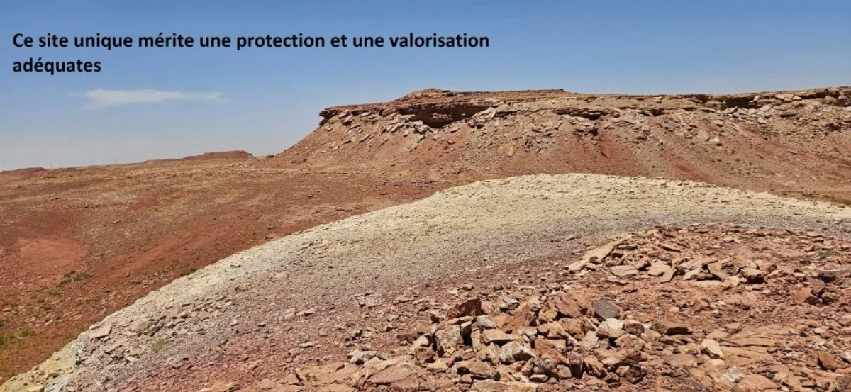 Patrimoine géologique du Maroc : les fossiles et sites préhistoriques menacés par le pillage et le trafic
