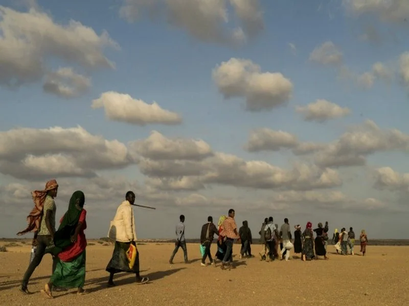 L'Afrique à un Tournant : Réinventer son Destin pour Freiner l'Exode et Assurer un Avenir Durable