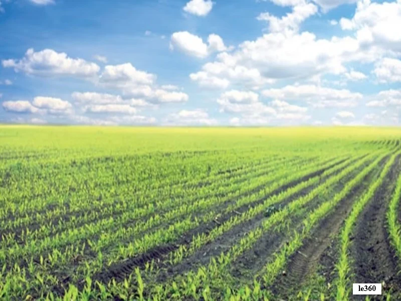 Vision Agricole 2050 : le Maroc face aux défis climatiques