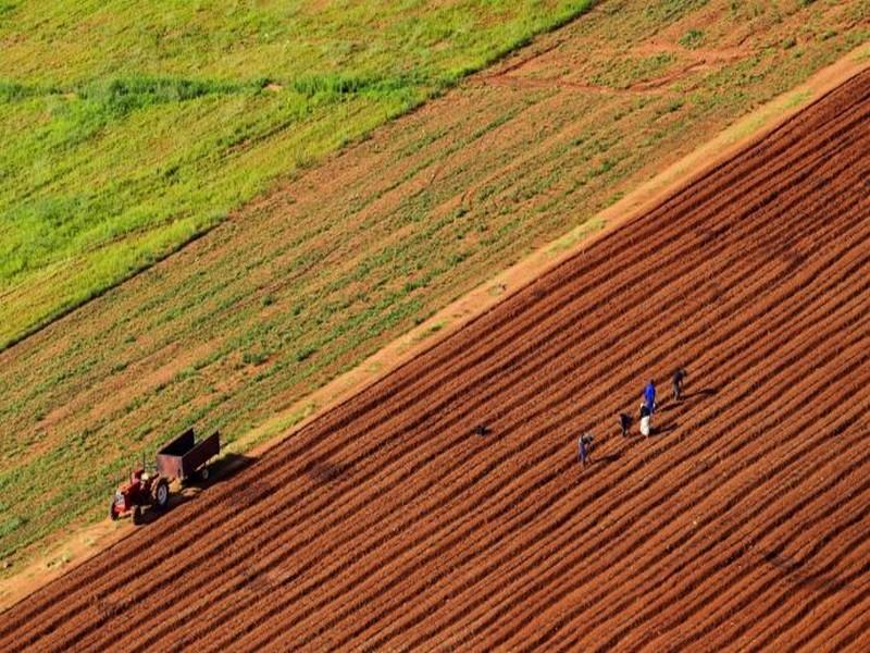 Réglementation agricole : le Maroc 3e en Afrique en matière de réformes