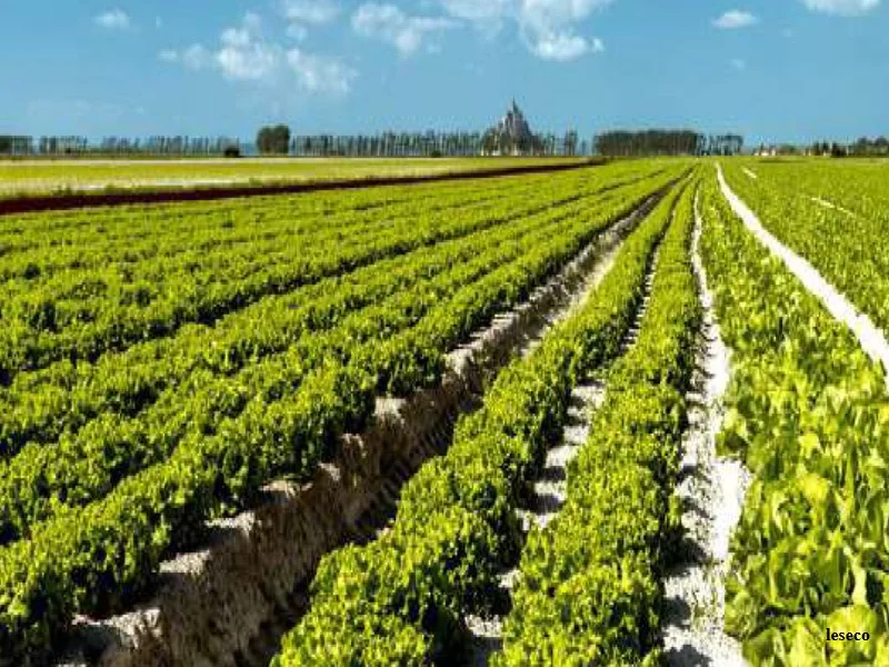 Agriculture sans pesticides : une etude de l’INRAE prouve sa viabilite economique et technique