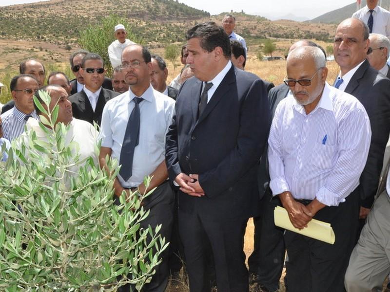 Le bilan en demi-teinte de la stratégie des agropoles au Maroc