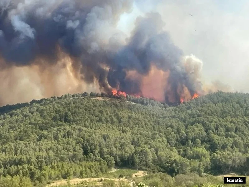 Maroc : plan anti-incendies 2026, vigilance accrue nord