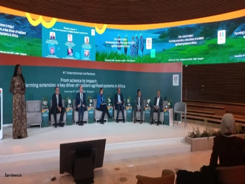 Agriculture en Afrique : transfert technologique et conseil agricole