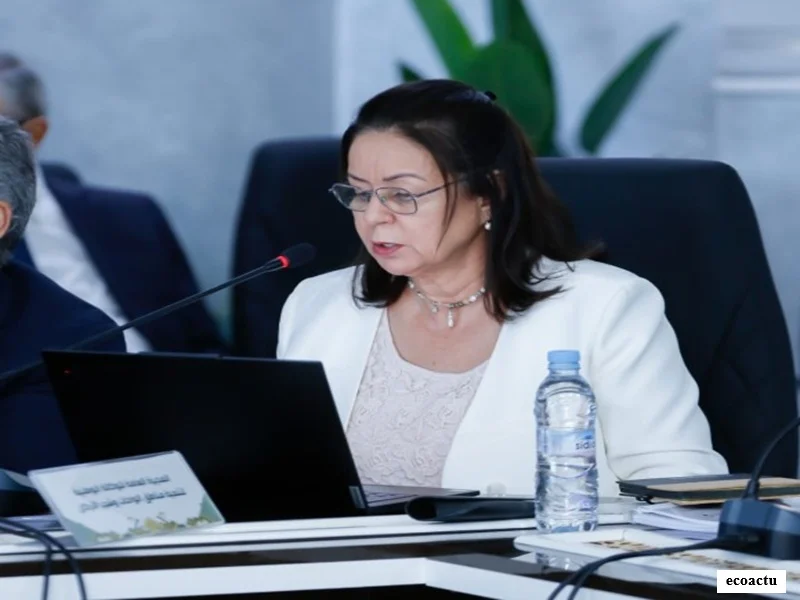 Développement durable des oasis : l’ANDZOA mise sur l’eau, l’innovation et la résilience