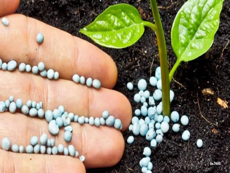 Detroit d’Ormuz bloque : impact sur les engrais azotes au Maroc, hausse des prix et risques pour l’agriculture