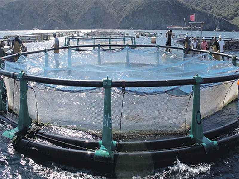 Adoption de projets de loi sur l’aquaculture et la création de l’ANDA