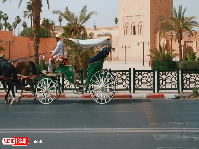 ALERTE TSGJB Marrakech et Agadir adoptent un asphalte permeable