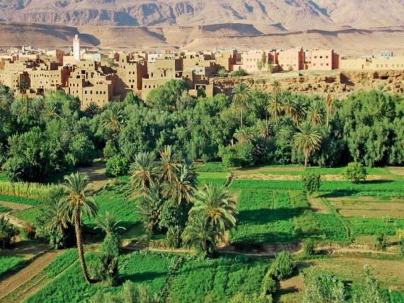 Valorisation des Oasis : La Déclaration de Ouarzazate