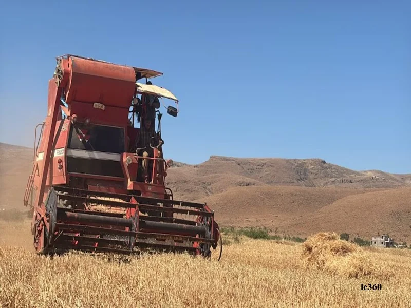 FAO : le Maroc améliore sa production agricole mais reste dependant des importations de cereales et de sucre