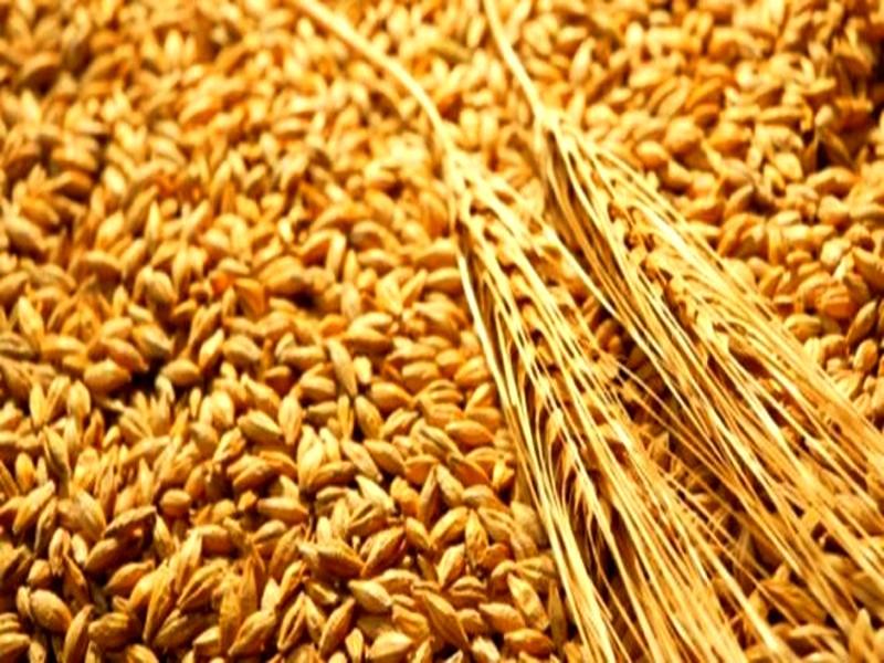 Céréales: La production chute