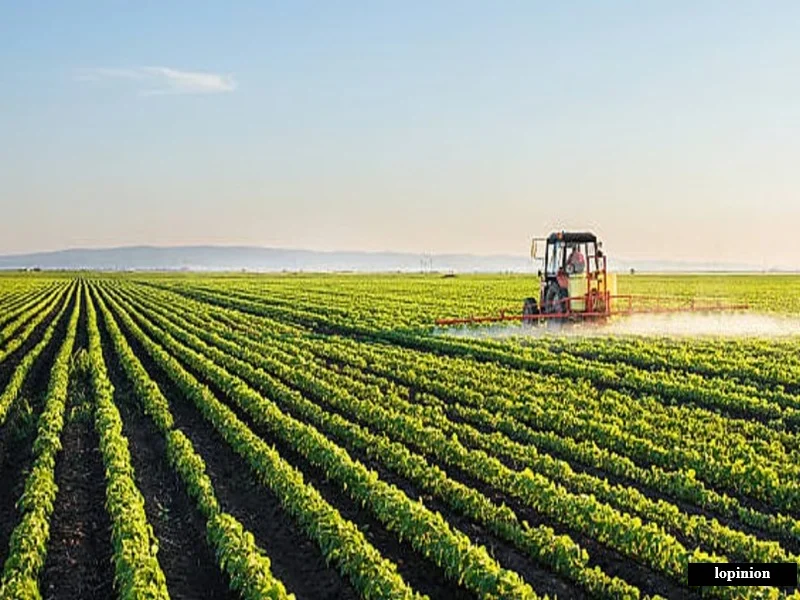 Agriculture au Maroc : les pluies relancent la production et stabilisent les prix alimentaires