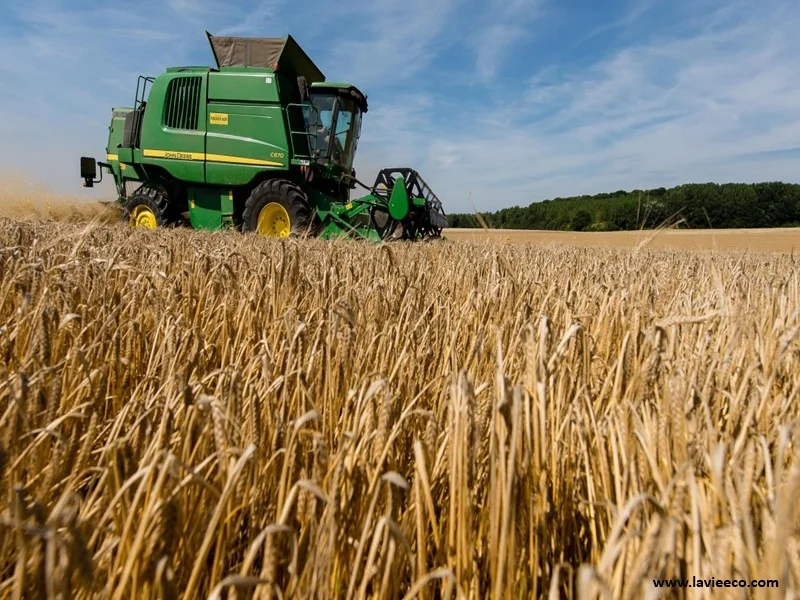 Agriculture au Maroc : forte reprise et hausse des récoltes