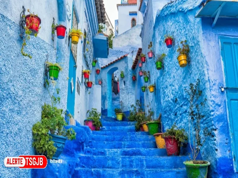 ALERTE TSGJB Maroc : 700 000 voyages depuis la Belgique en 2025, premiere destination hors d’Europe