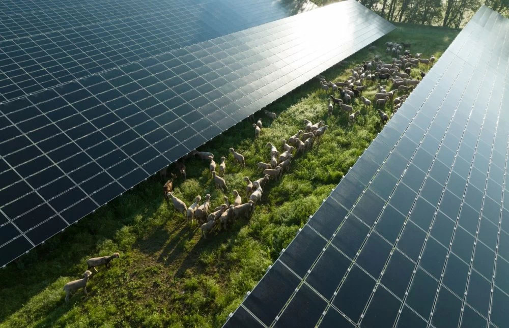 Climat : le Maroc et le PNUD renforcent le système MRV national