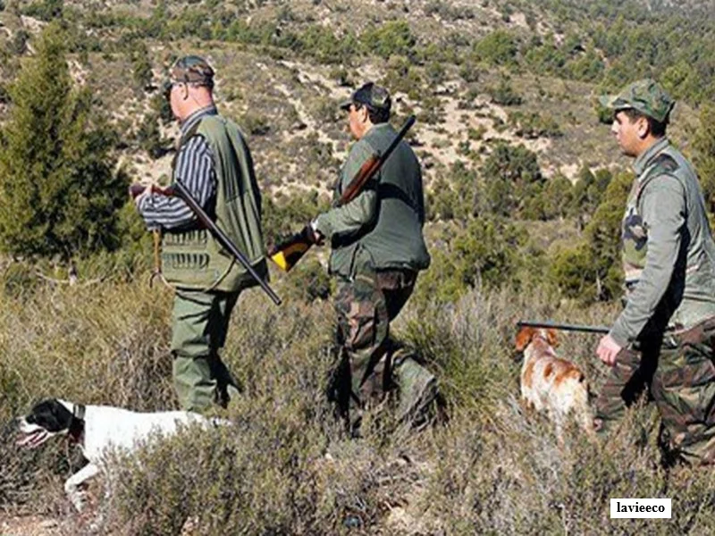 Chasse touristique au Maroc : levier rural et durable