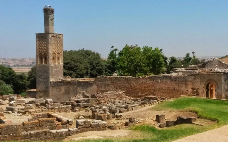 Découverte majeure à Chellah : un quartier portuaire antique révélé près de Rabat