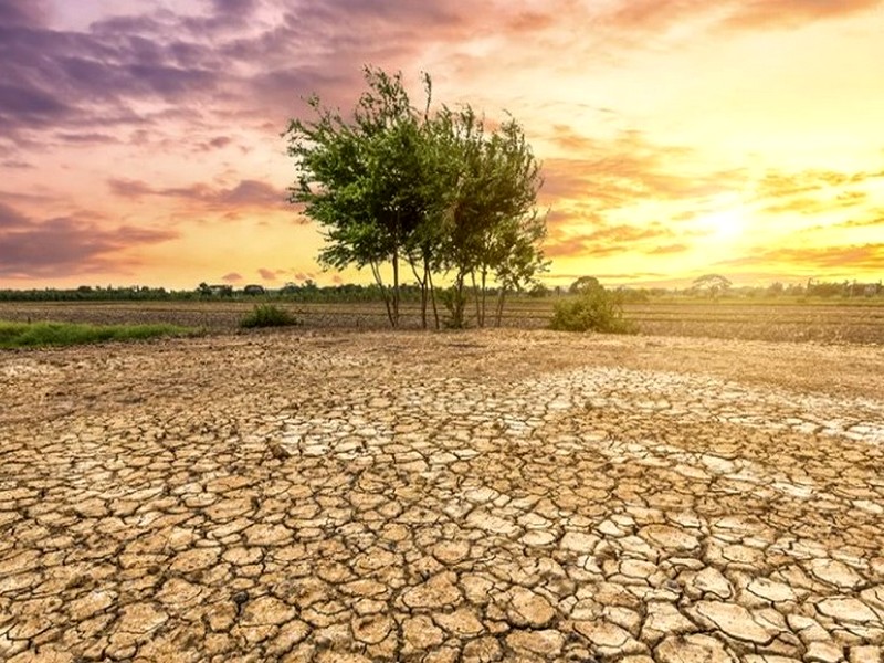 Afrique du Nord : réchauffement climatique rapide et impacts sévères sur la sécurité alimentaire