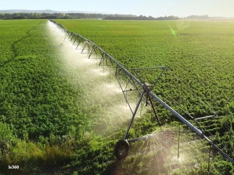 Souss-Massa : un projet de dessalement a 15 milliards de DH pour irriguer 10.000 hectares pres de Tiznit