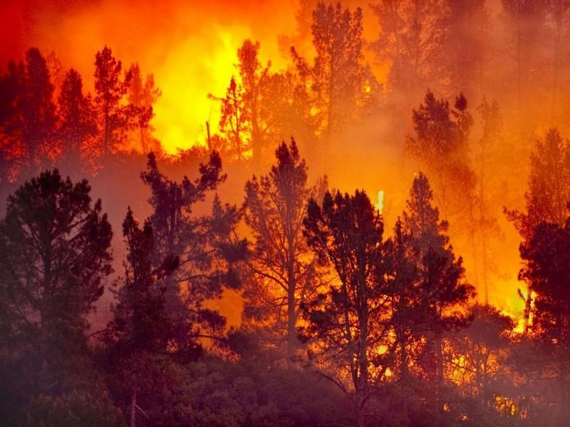 Le réchauffement climatique rend les feux de forêts plus fréquents en Méditerranée