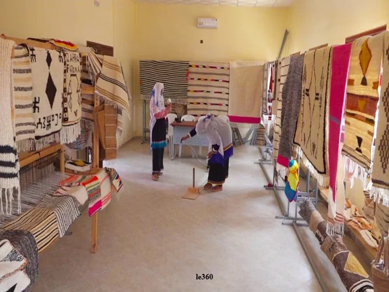 Coopératives au Maroc : levier clé contre pauvreté et inégalités