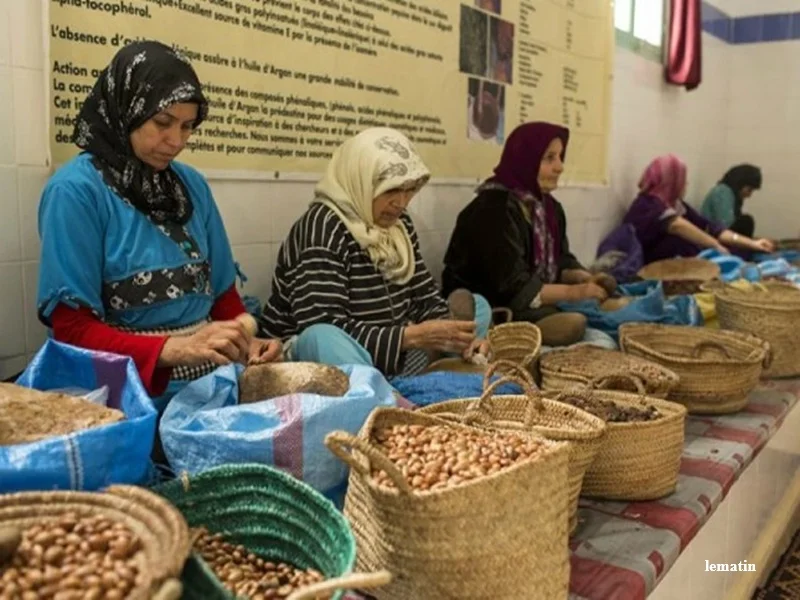 Seisme d’Al Haouz : un plan de relance pour les cooperatives marocaines sinistrees