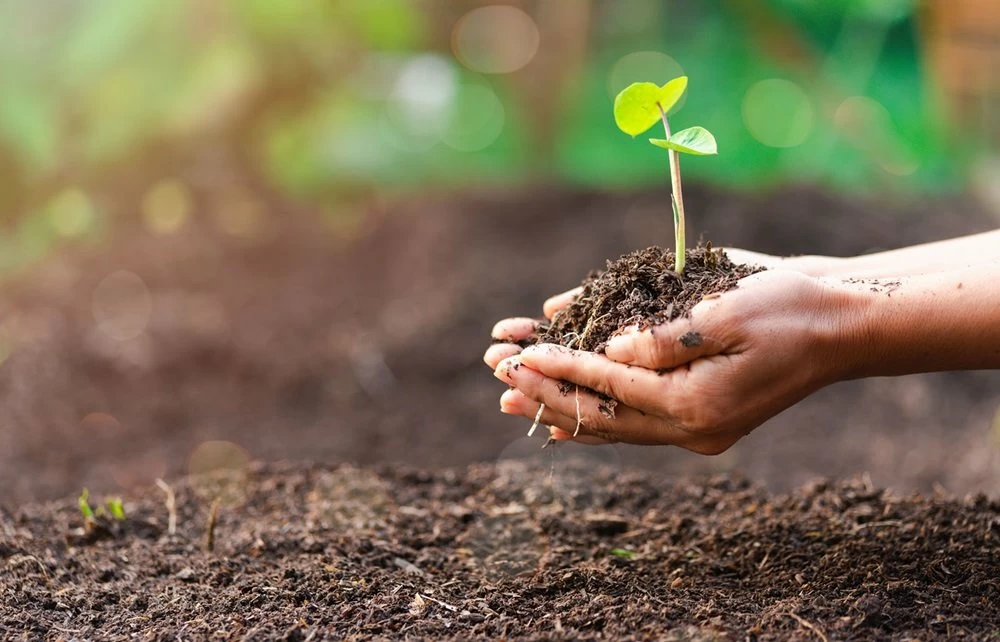 Afrique : financer la transition verte d'ici 2030