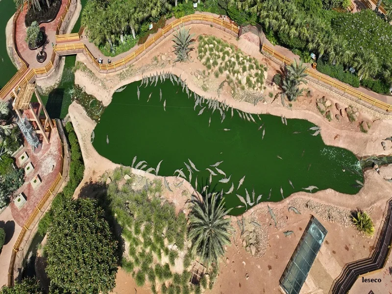 Agadir : Congrès mondial UICN des crocodiles